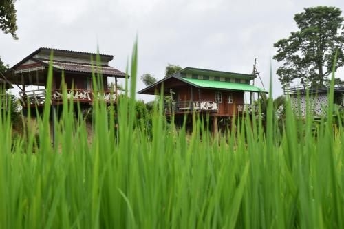 Hinpha Homestay3