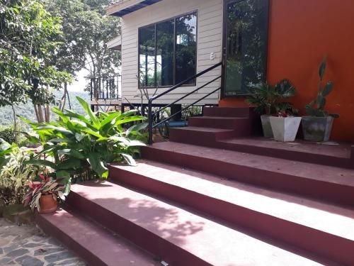 Janpha Ngam1