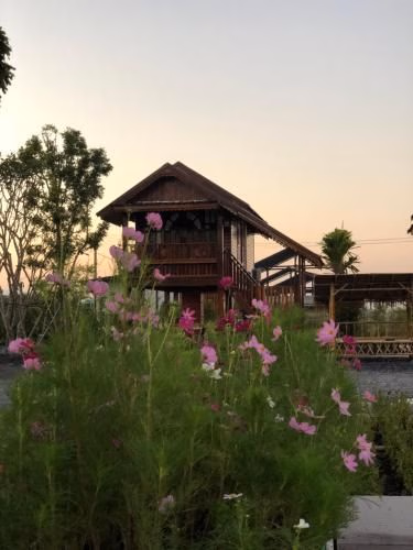 Baan Phulituch2