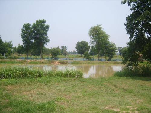ชมนา รีสอร์ท (Chomna Resort)1