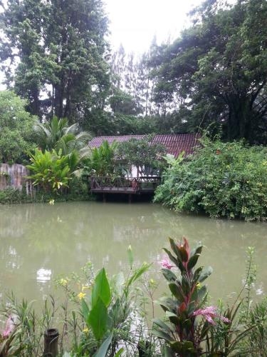 Baan Suan Thip Homestay4