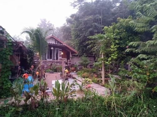 บ้านยางนา Baan Yang Na Relax Zone Nan (Baan Yang Na Relax Zone Nan)2
