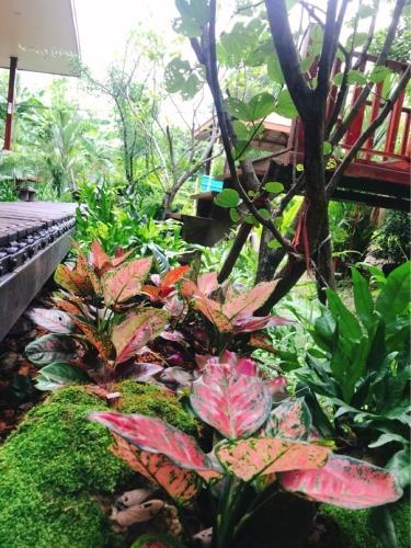 88 Homestay2