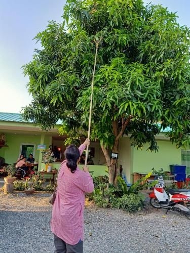 Bunga Homestay2