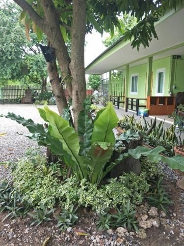 Bunga Homestay0