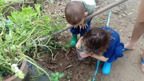 แคเรน ออร์แกนิก ฟาร์ม (Karenorganicfarm)0