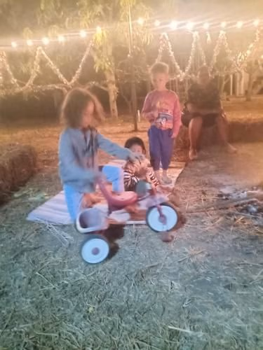 แคเรน ออร์แกนิก ฟาร์ม (Karenorganicfarm)4