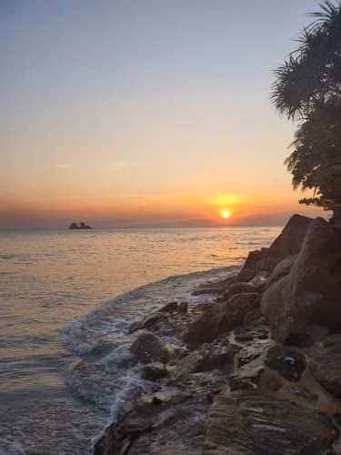 Beachfront Condo Escape 2431