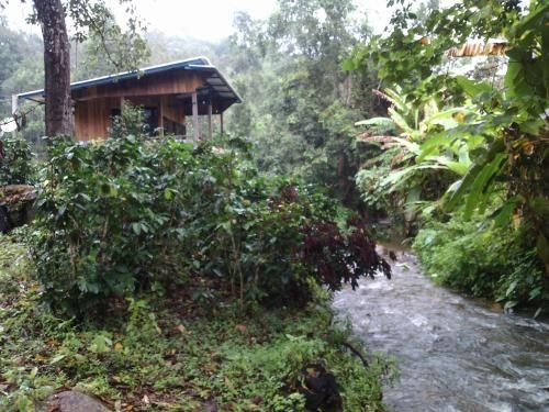 Baan Tharn Saeng Dao1