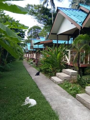 X-Bar and Bungalow0