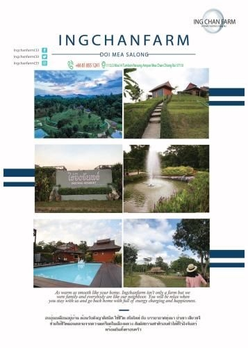 Ing Chan Farm /ไร่อิงจันทร์ (Ing Chan Farm)3