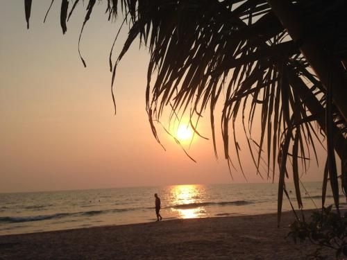 Chill Paradise 21