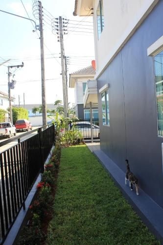 Junior house ll1