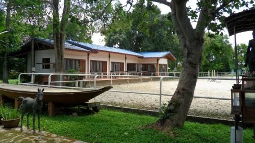 Equestrian Paradice0
