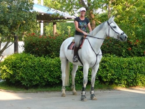 Equestrian Paradice1