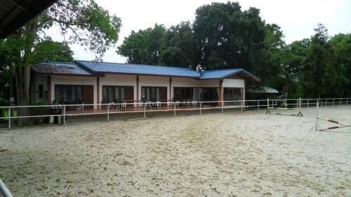 Equestrian Paradice3