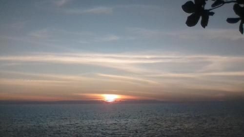 Green Sun1