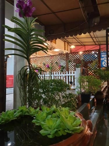 Ticino Phuket3