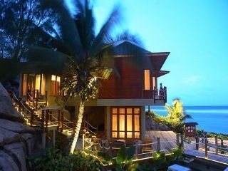 Allamanda4