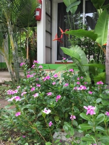 Nayai Resort0