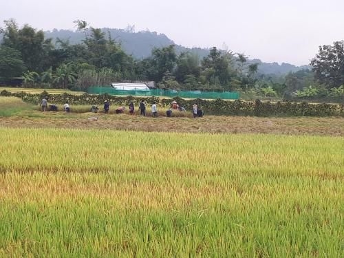 Baan Bar Cafe4