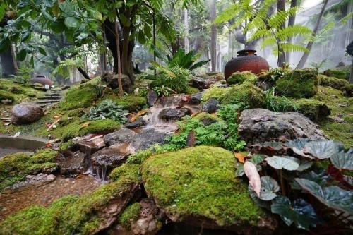 Tree Scape Resort4