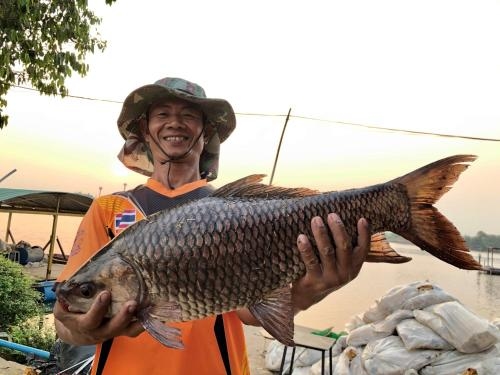 บึงสัมปทวน (Bueng Sampatuan)4
