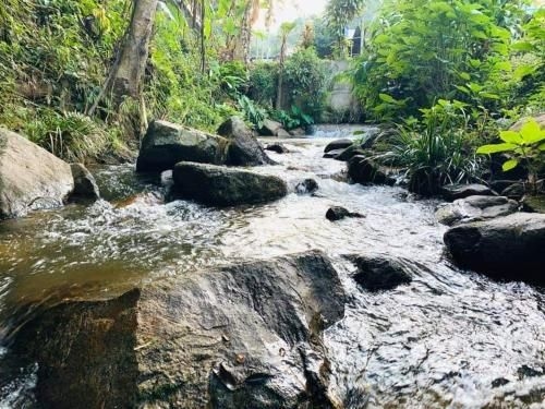 Rabiang Doi Camping3
