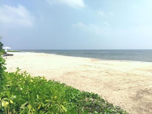 BLU-Pool Access1