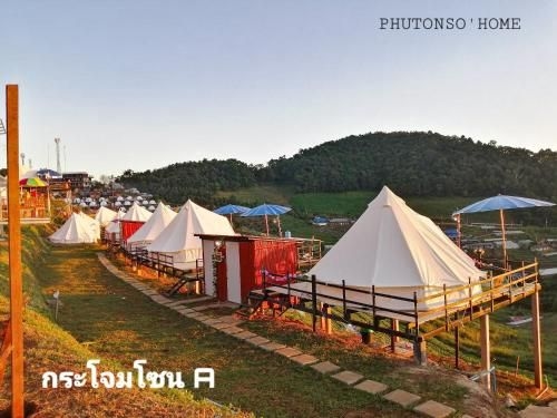 ภูต้นซ้อ-ม่อนแจ่ม (Phutonso-camp)4