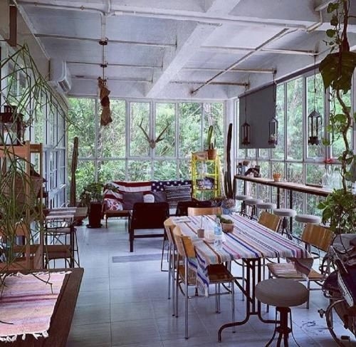 Rewild camp&cafe2