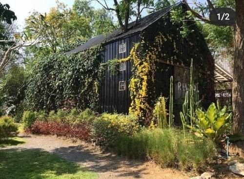 Rewild camp&cafe1