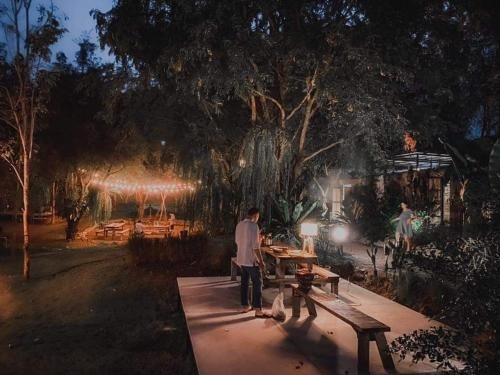 Rewild camp&cafe3