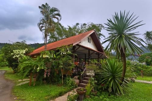 Khao Sok Riverfront Resort1