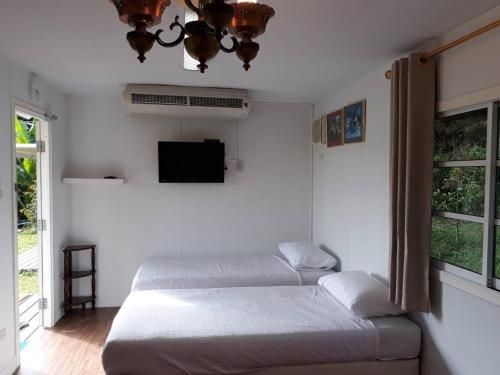 Avocado Resort2