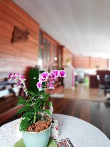 HavenRoom@Lomsak (HavenRoom At Lomsak)0