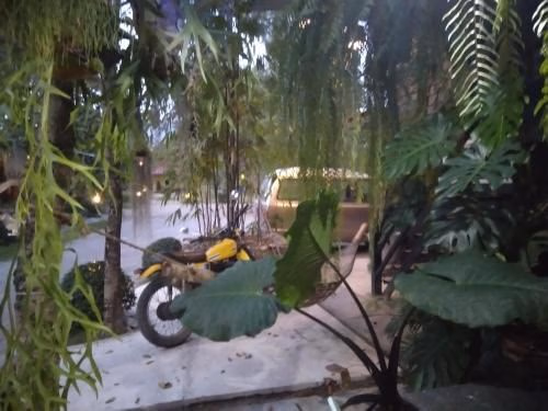Baangu Homestay2
