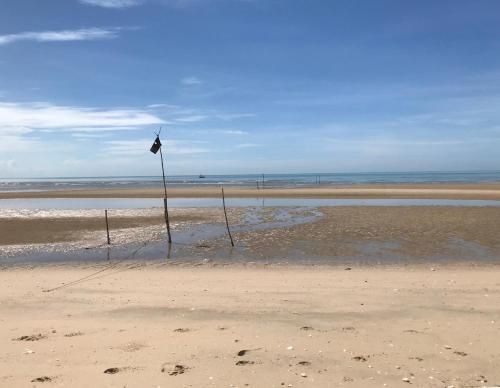 ZIZ AT THE BEACH4