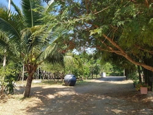 Daung Dao Resort3