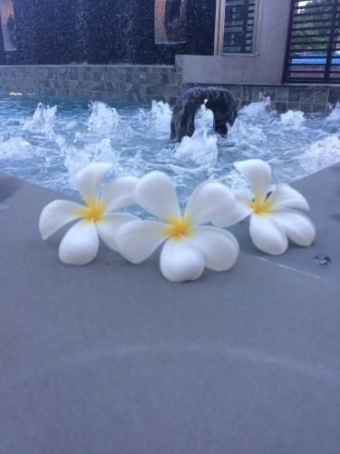สยามธราดล (Siam Tharadol)1