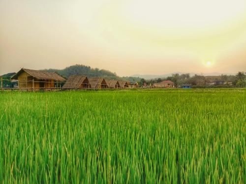 Mong Du Doi Homestay4