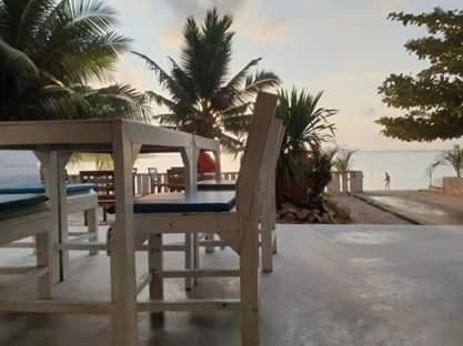 Am pai CAFE'HAUS hostel3