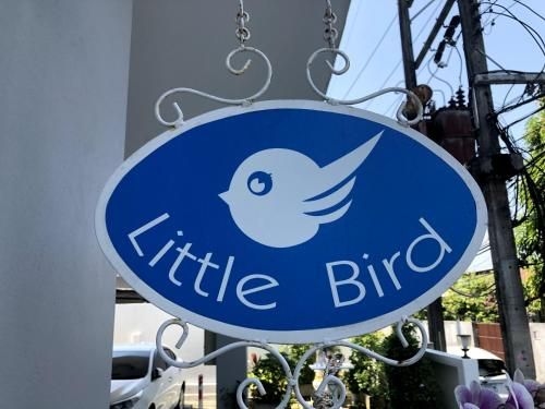 Little Bird3