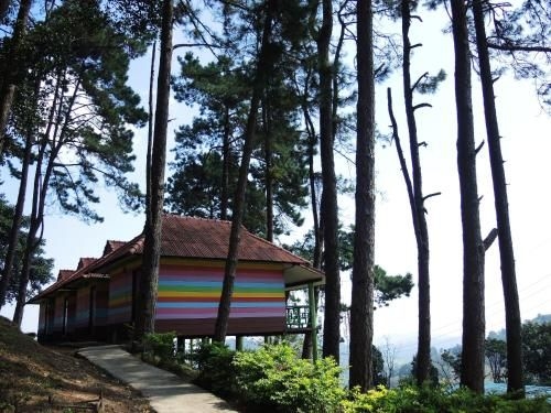 แม่สลอง รีสอร์ท (Maesalong Resort)2