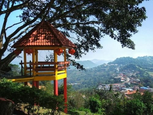 แม่สลอง รีสอร์ท (Maesalong Resort)0