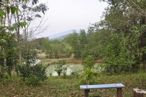 SunSam Farm2