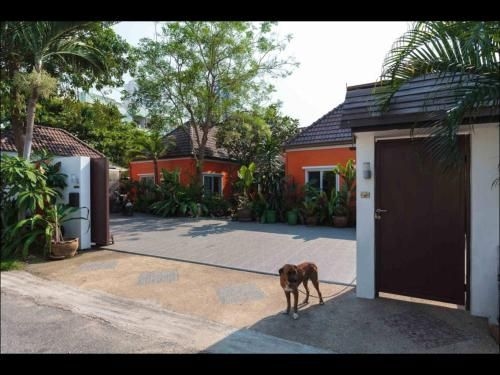 Breezy Villa In Pattaya4