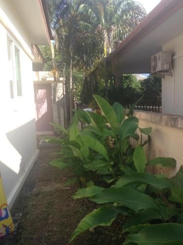Pool Villa Kathu Phuket3