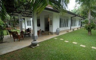 Lilly Village4