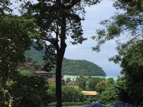 Phi Phi Sea and Hill Resort1